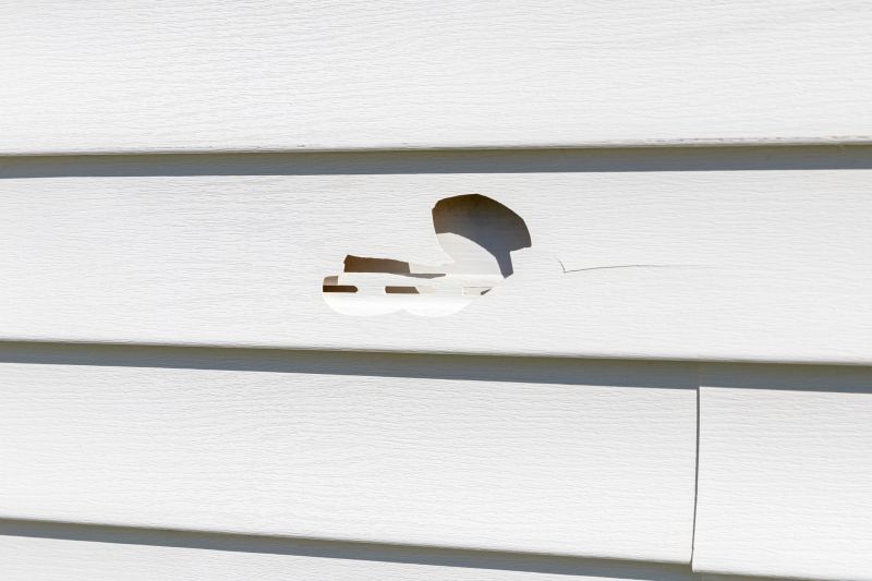 Vinyl Siding Repair Close-Up